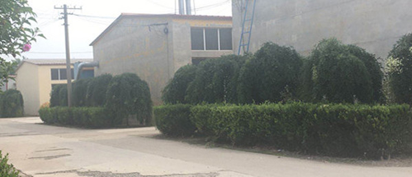 專業的技術團隊,為客戶私人定制